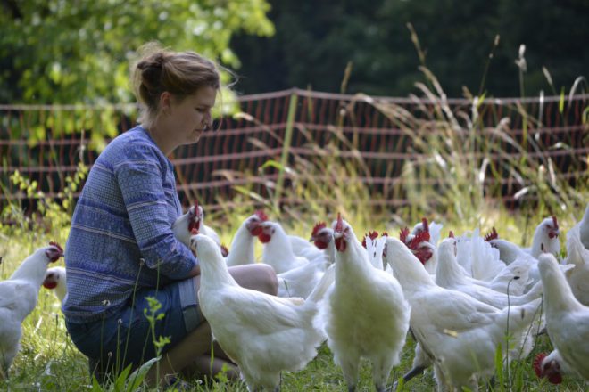 1 Cent pro Ei für Öko-Huhn von morgen
