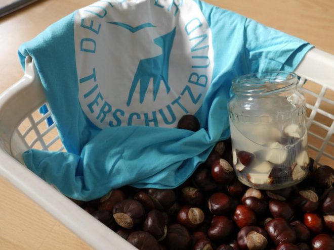 Tierfreundlich waschen mit Kastanien
