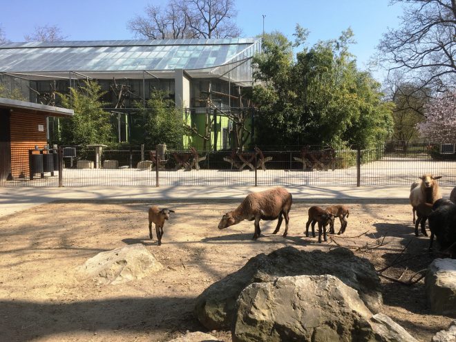 Tiergarten in der Au bittet um Spenden
