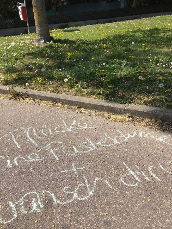 Tag 33: Die etwas andere Spielstraße