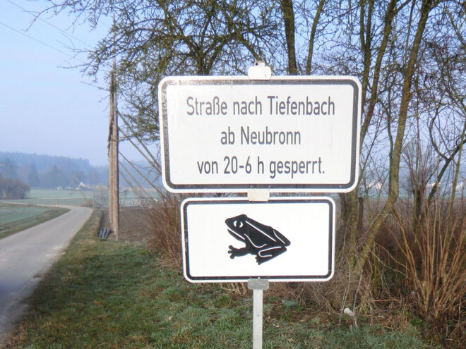 Straße wegen Krötenwanderung gesperrt