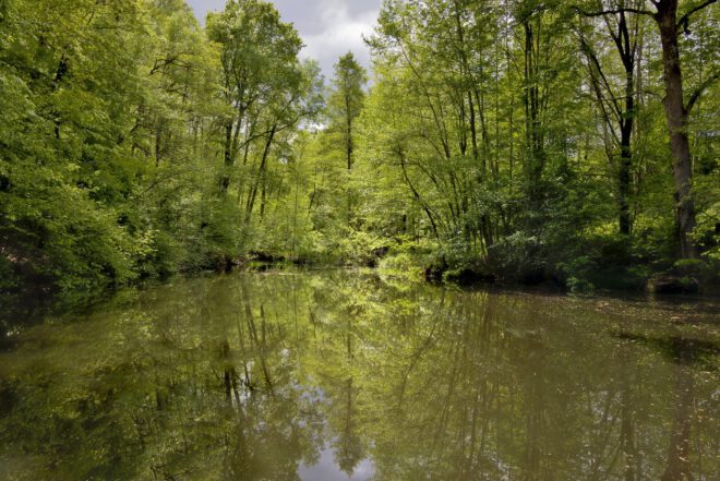 Fotowettbewerb Natur im Fokus