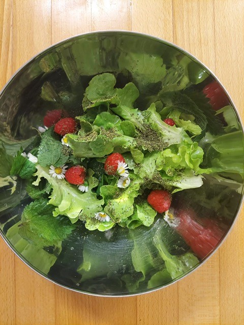 Brennnesselsalat selber machen
