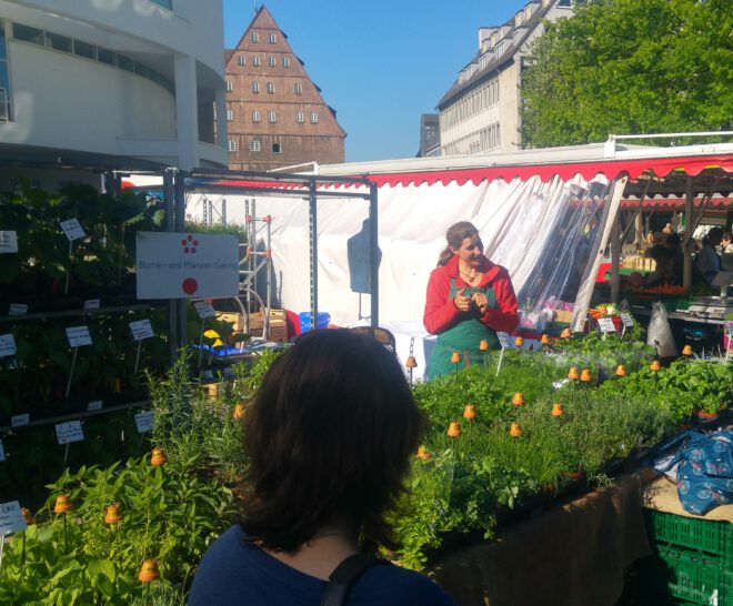Gärtnerei Gairing in Ulm