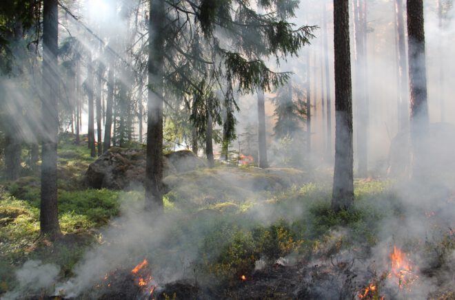 Zwei neue aktuelle Stationen in der Feuerwehrerlebniswelt