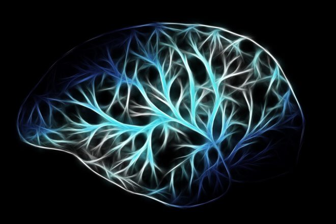 Neue Therapie für hypothalamisches Übergewicht