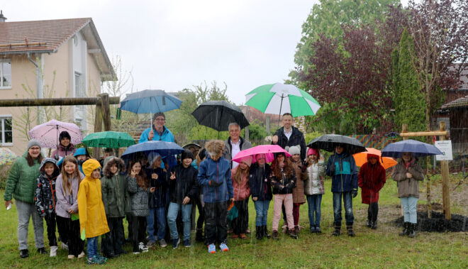 „Der Baum des Jahres 2024″