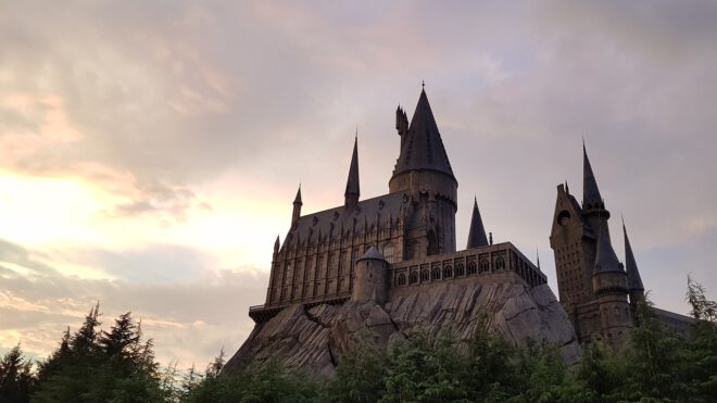 Fliege mit Harry Potter