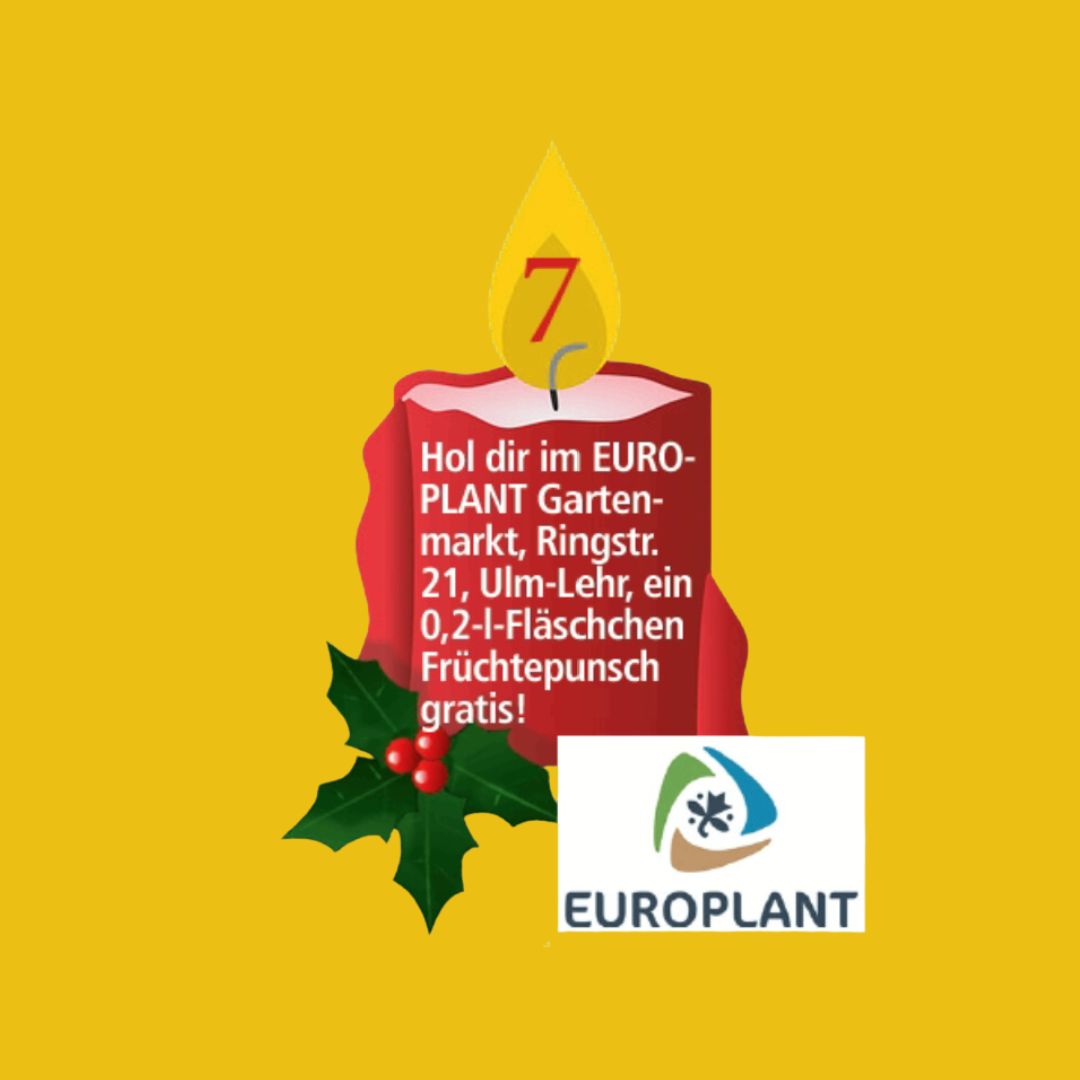 7. Dezember