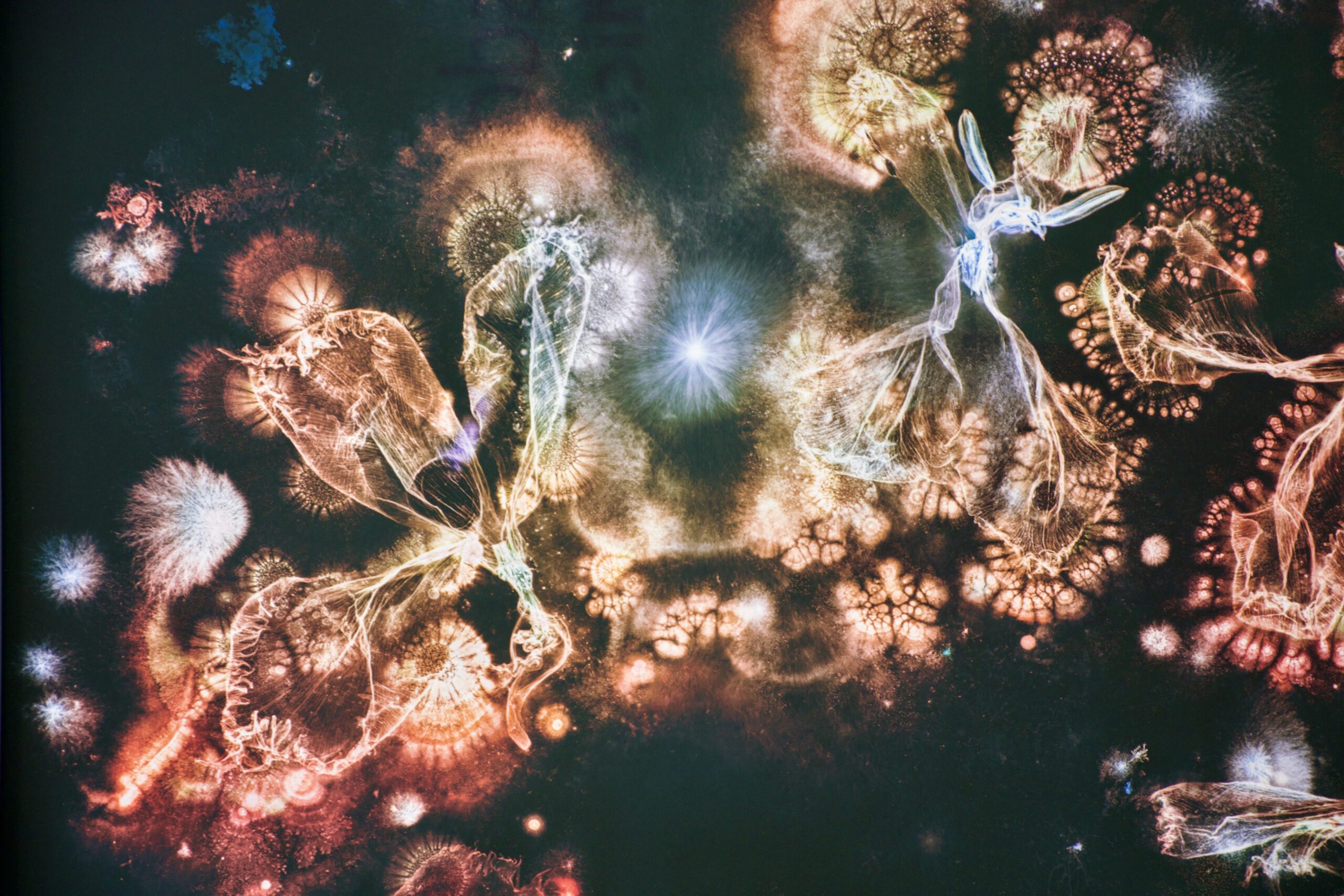 AUSSTELLUNG: Kathrin Linkersdorff: Microverse