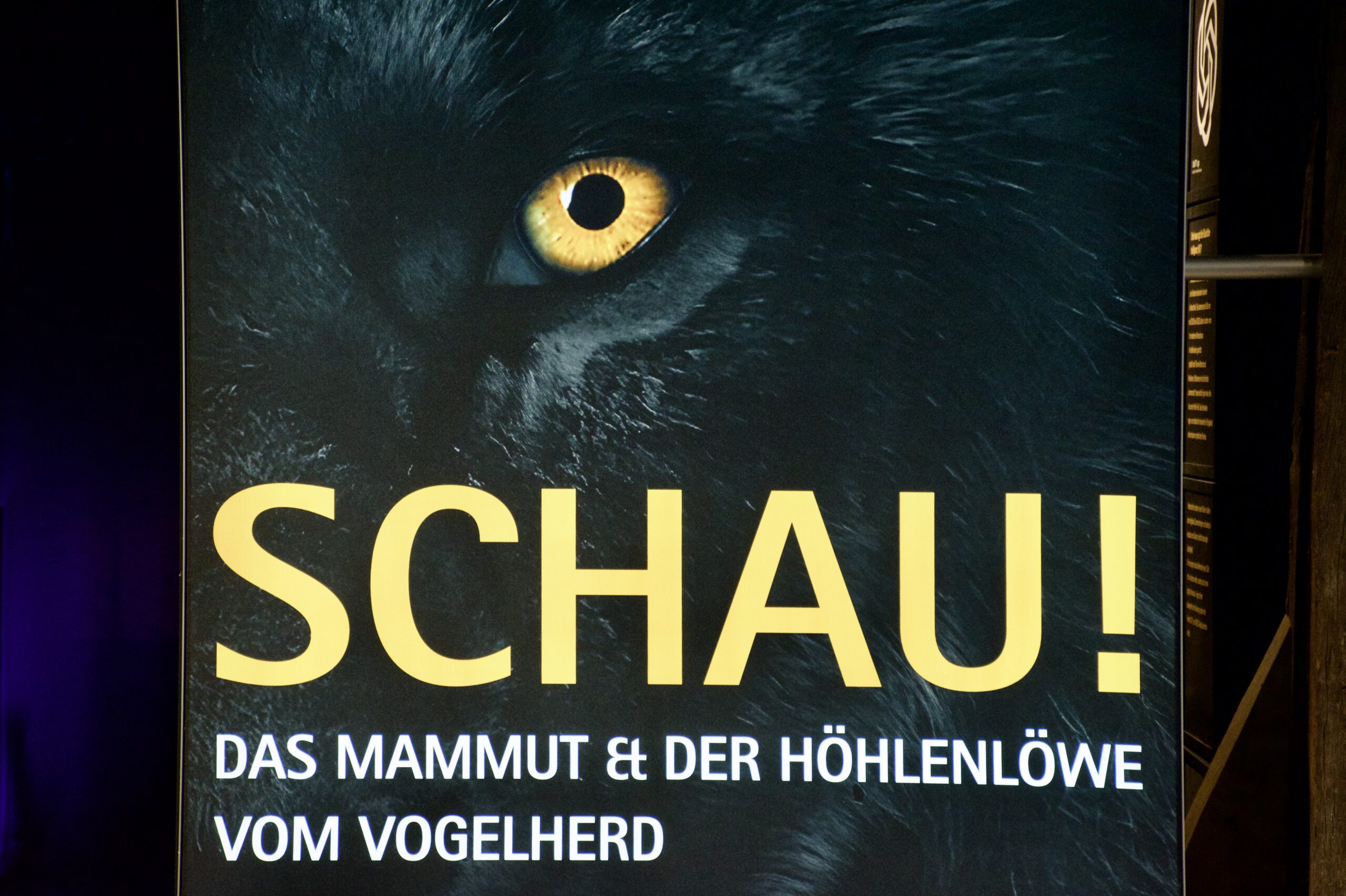 AUSSTELLUNG: SCHAU! Mammut und Höhlenlöwe vom Vogelherd