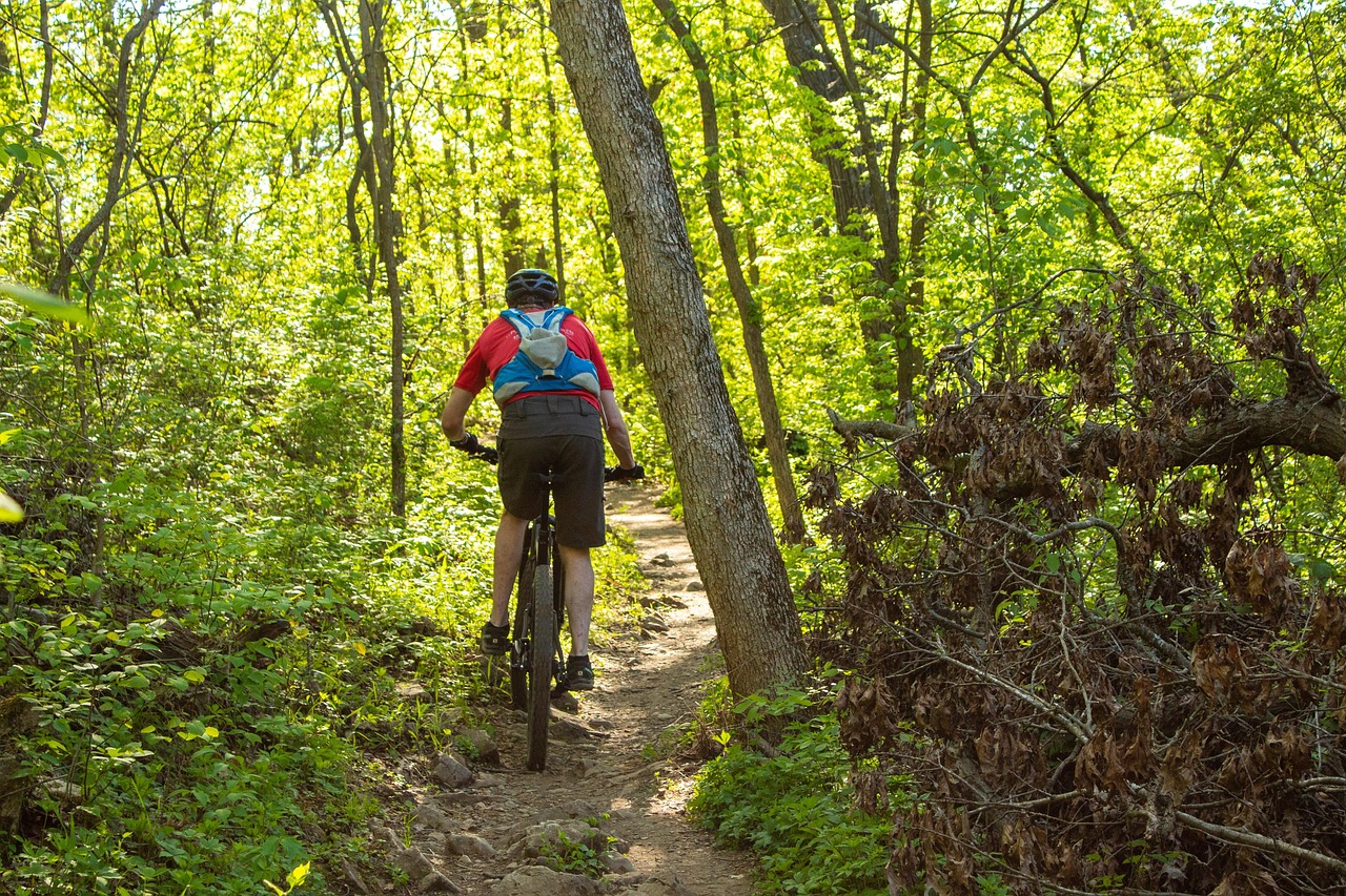 Mountainbiketour mit Kindern