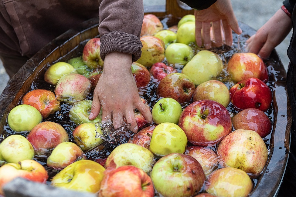 Apfel- und Kartoffeltag