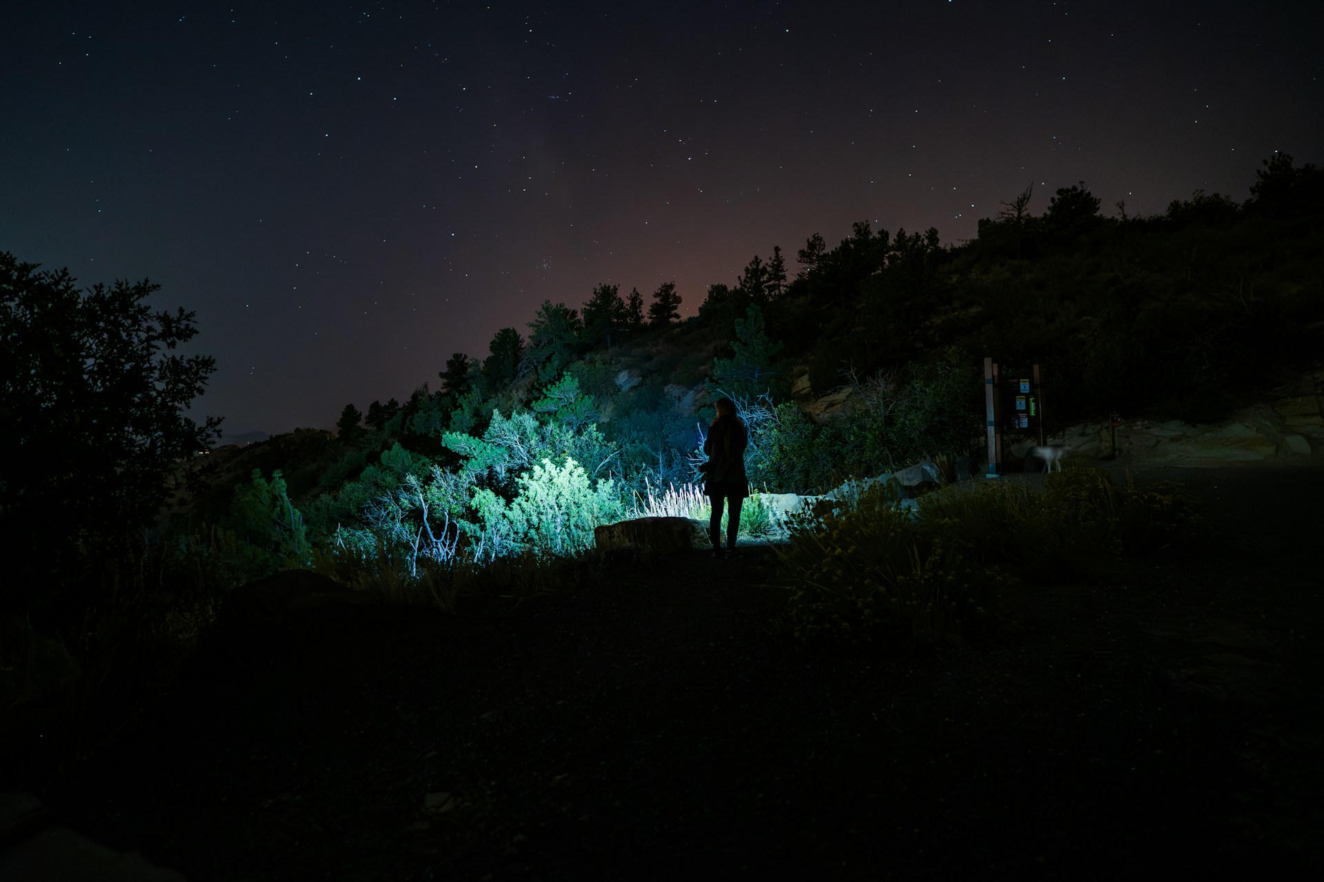 Die Tropen bei Nacht
