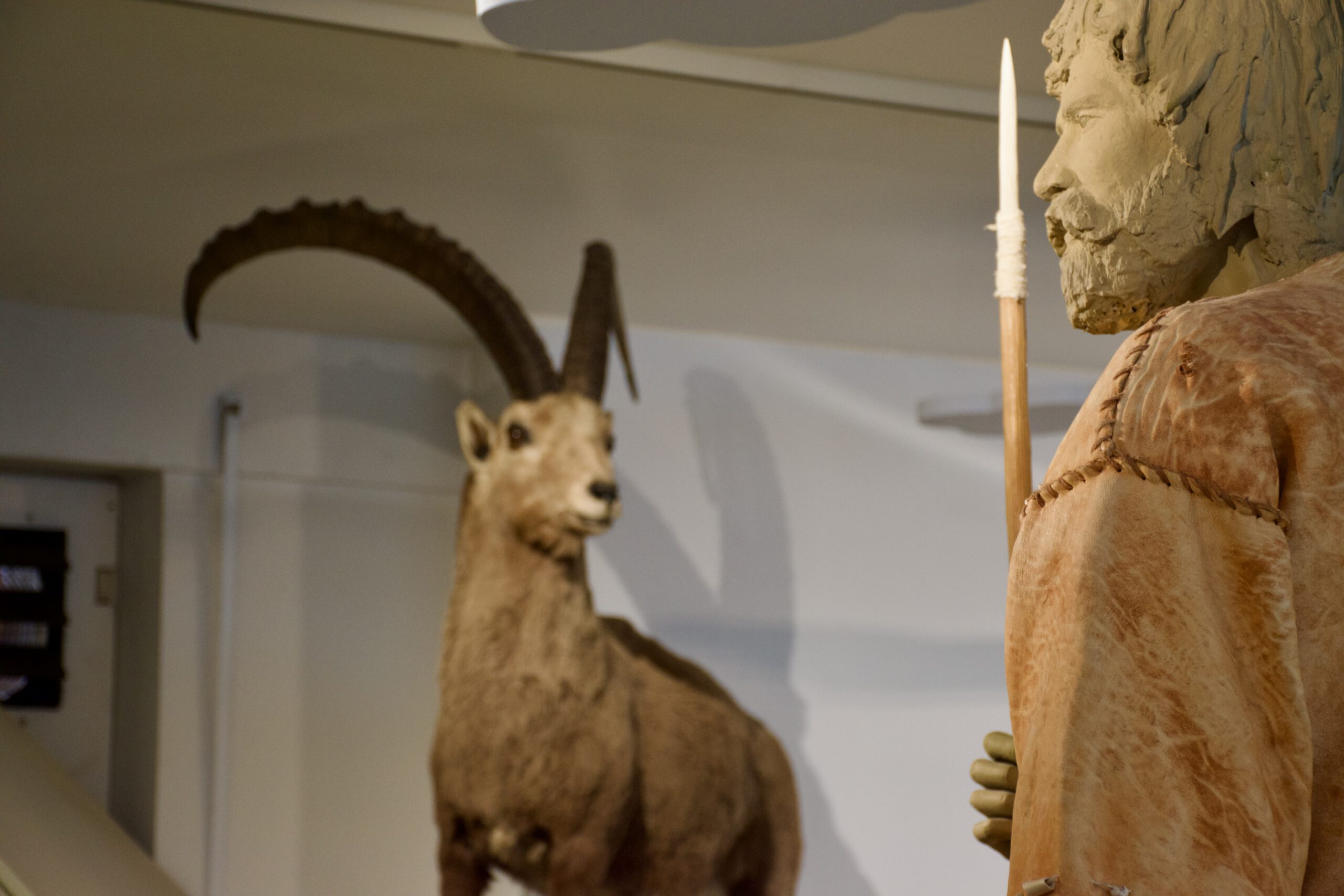 Familien-Olympiade durch das Museum