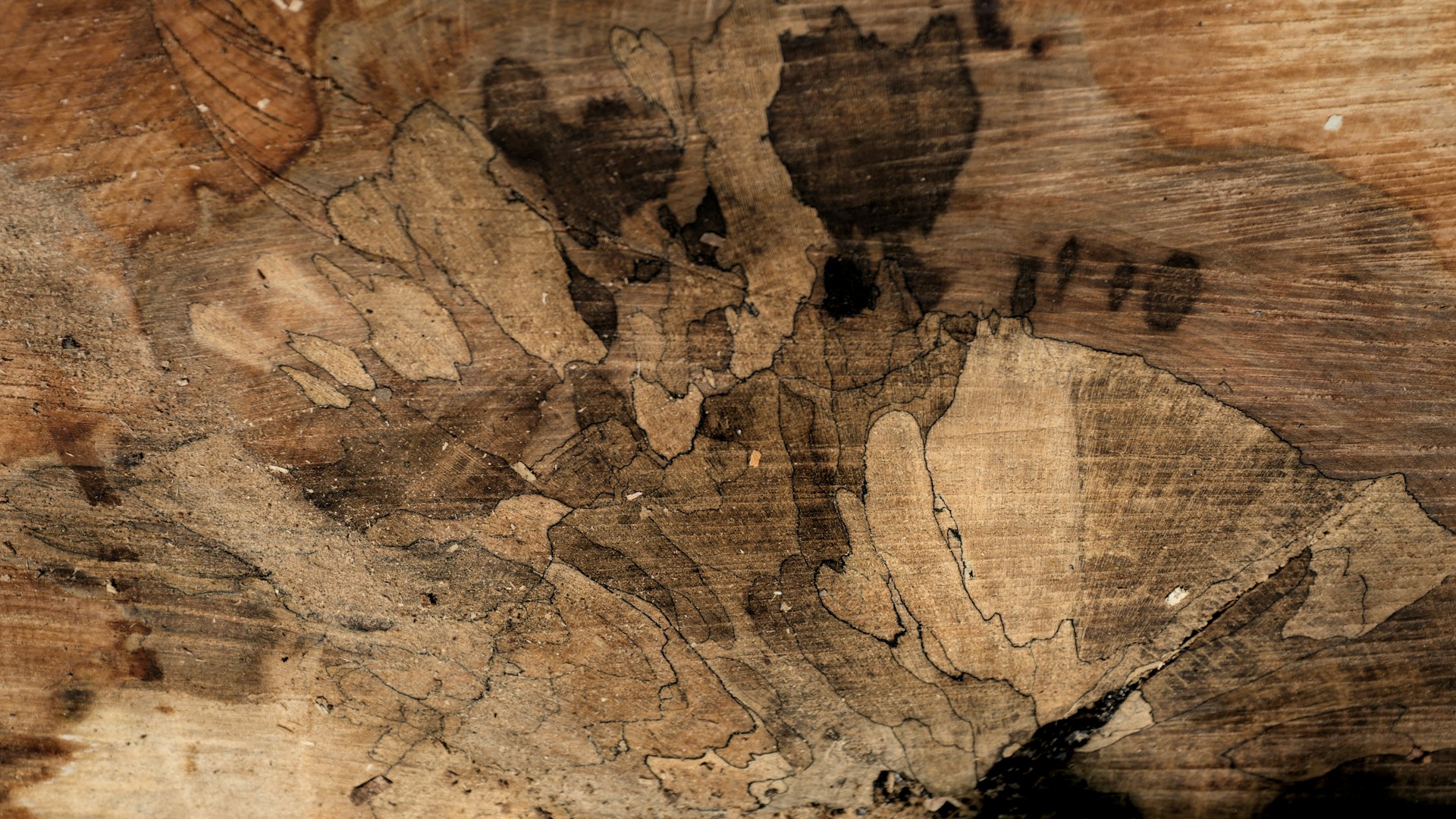 KURS: Upcycling – Tierkunstwerke auf Holz