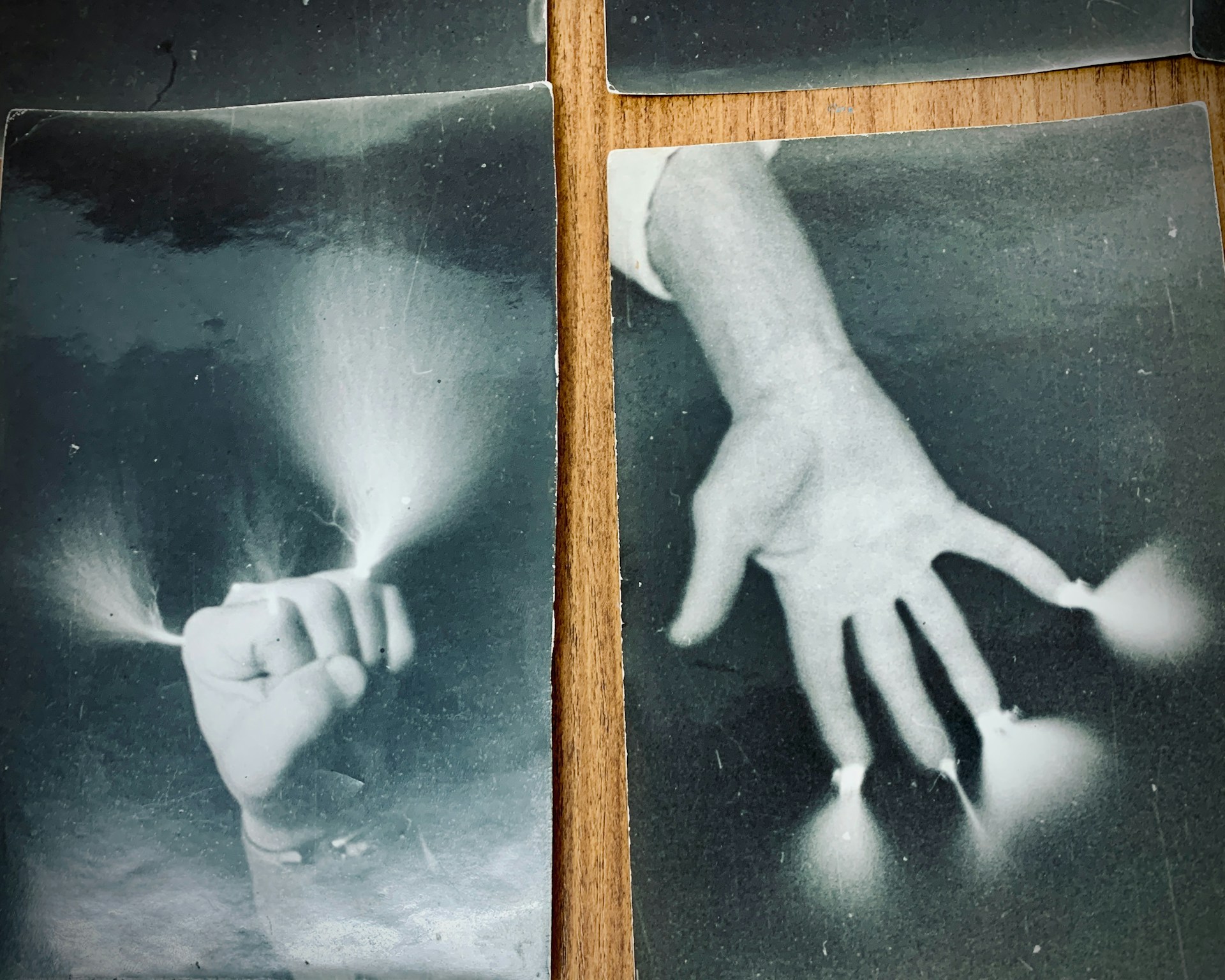 Gemeinsam wachsen: Zwischen Energiehaushalt und Reserven