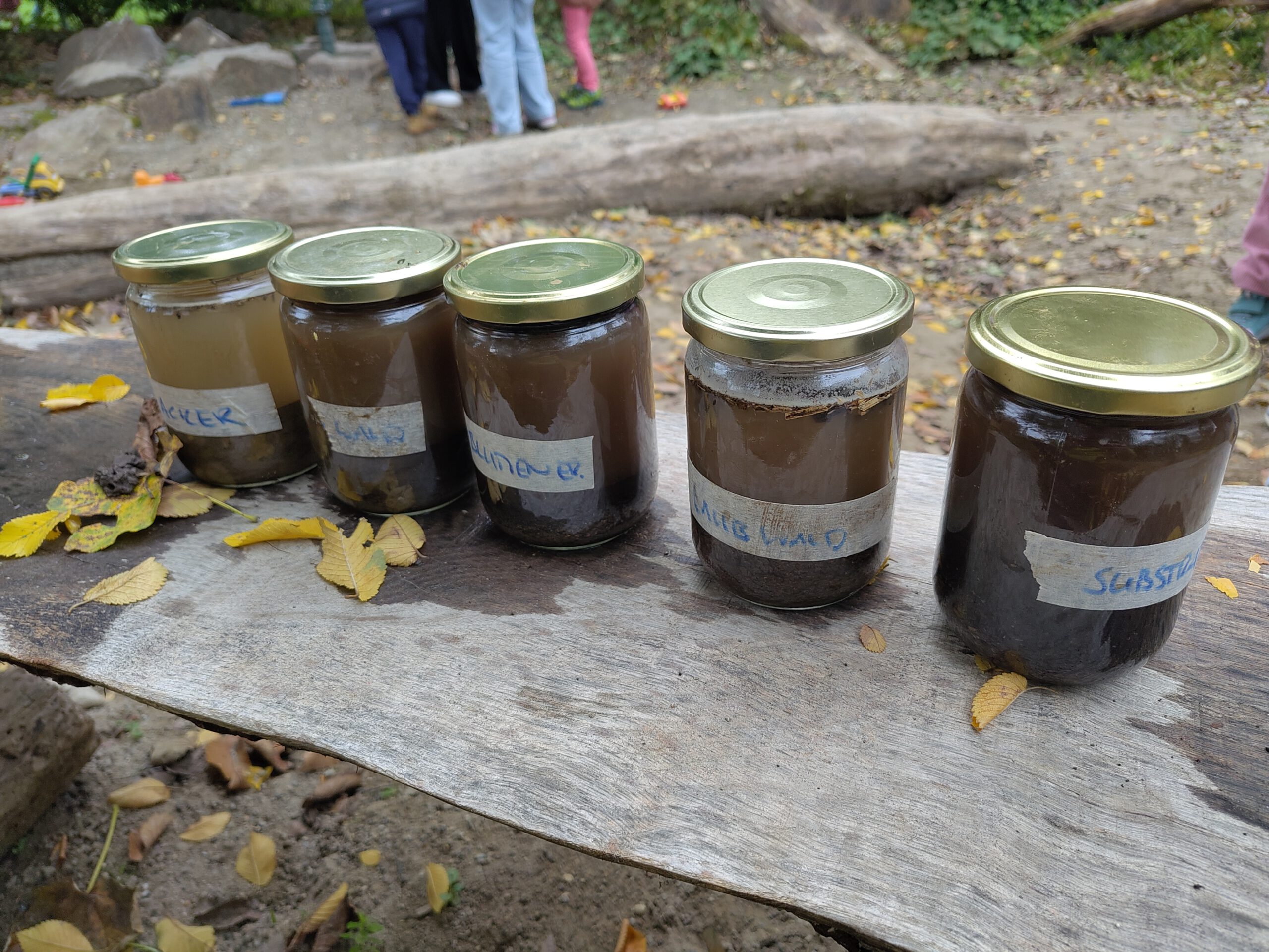 Gartenentdecker*innen - Herr Wurm bekommt eine Kiste