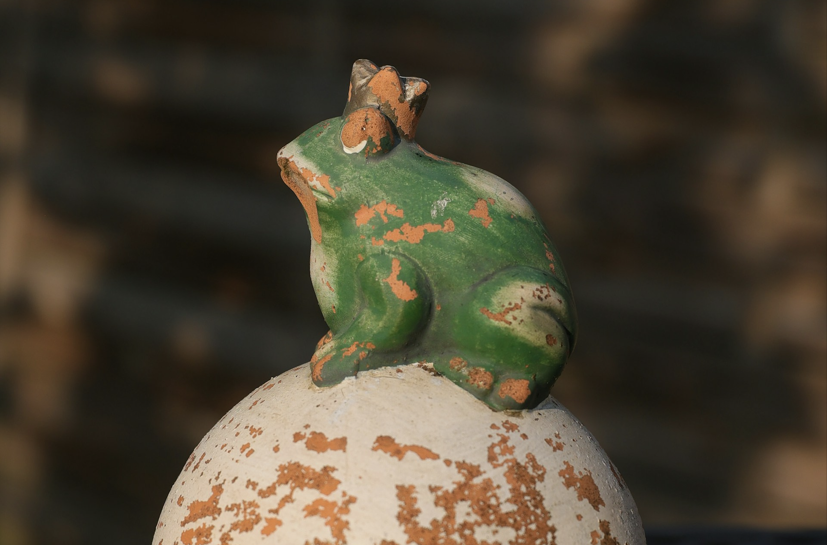 Familien-Umwelt-Nachmittag: Unterwegs mit dem Froschkönig