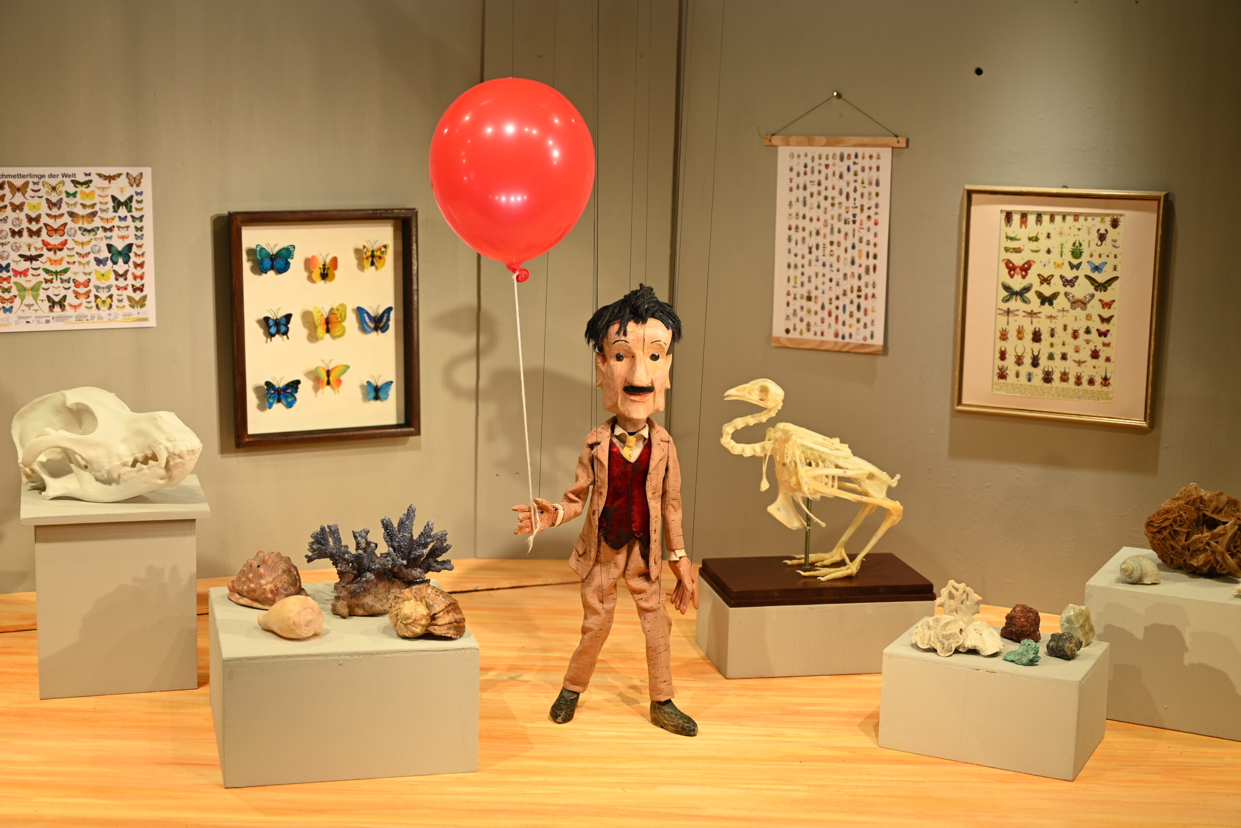 Sonderausstellung: Abenteuer Museum