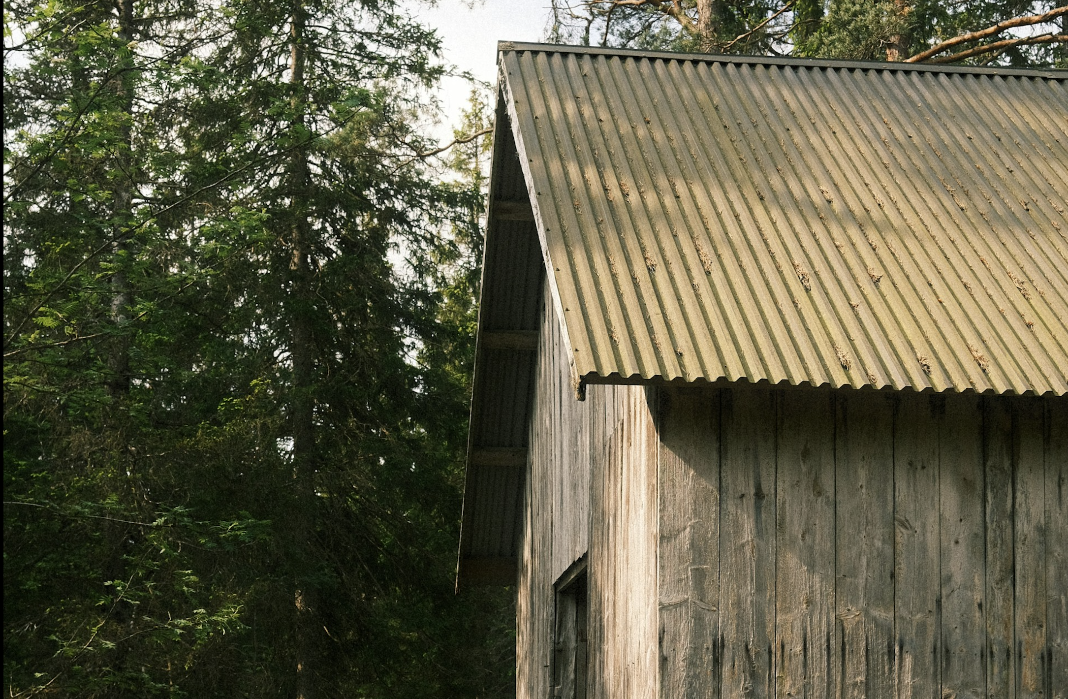 Ferien: Offene Kinderführung "Die Torfwirtschaft"