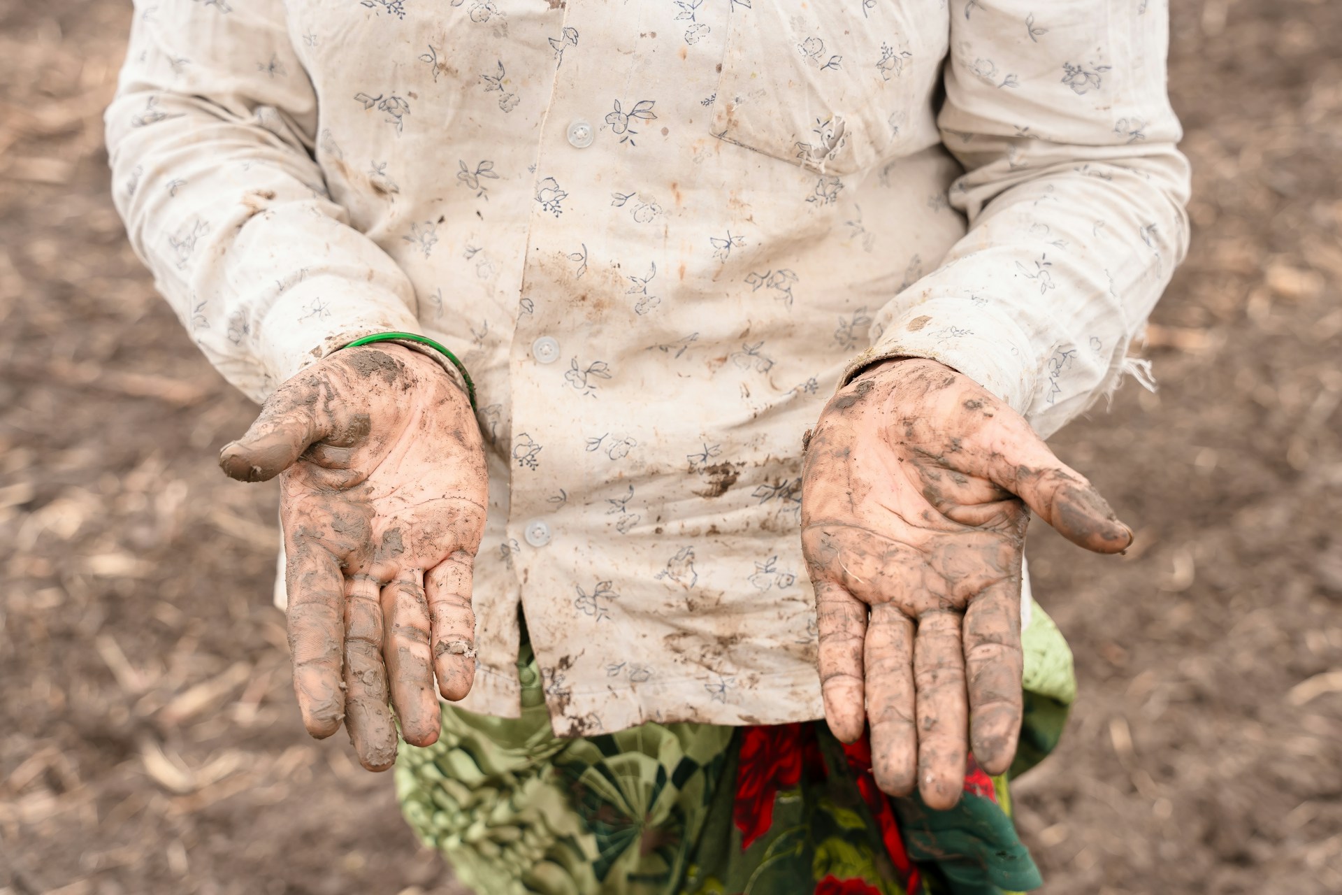 Gartenentdecker*innen - Pflanzen düngen mit Herrn Wurm