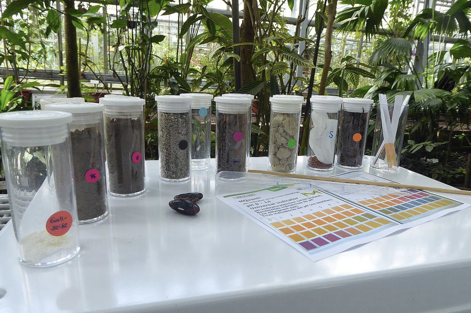 Kurs: Naturforscher AG (8 - 10 Jahre)