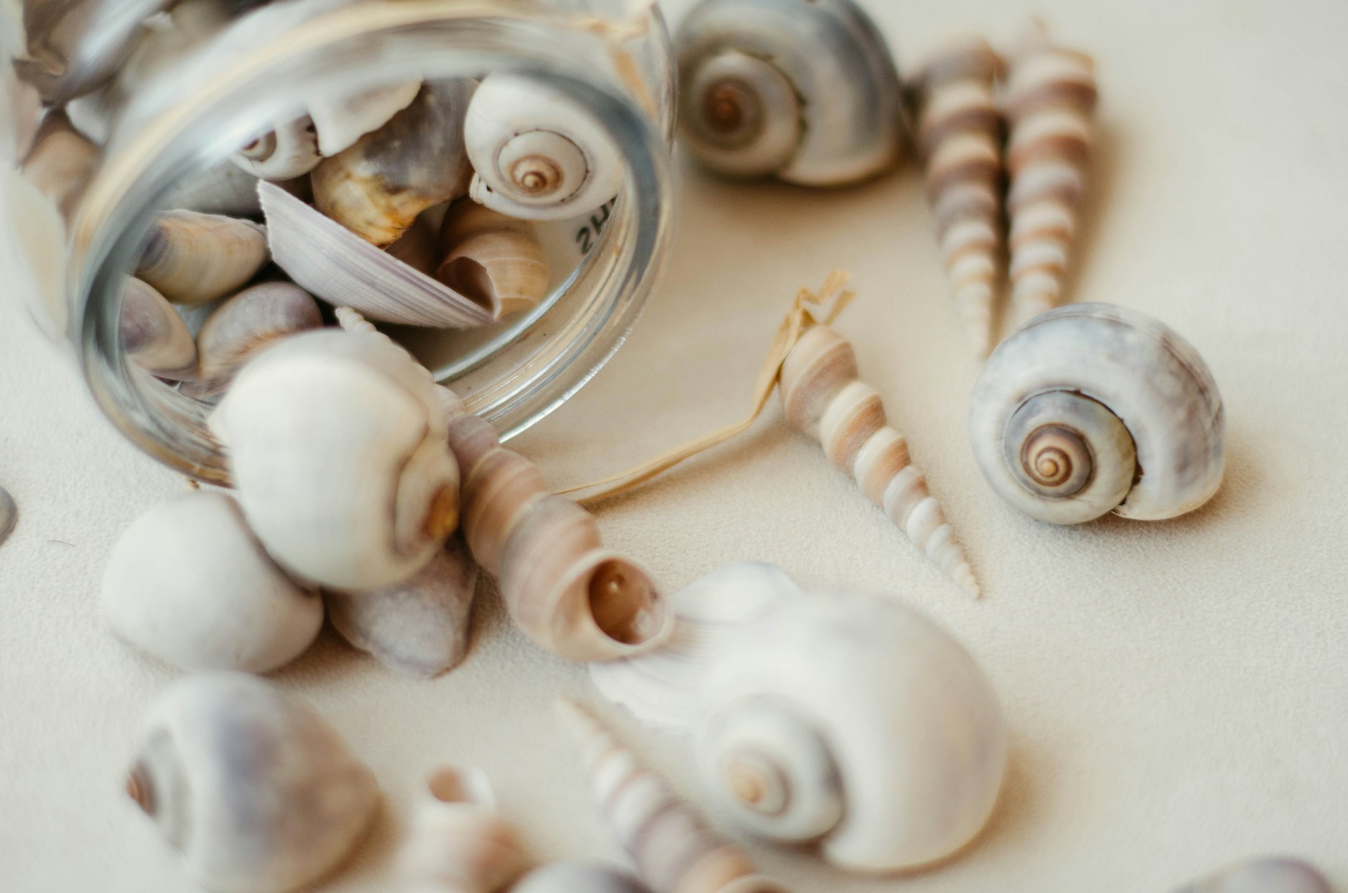 Familiennachmittag – Muschelschmuck herstellen