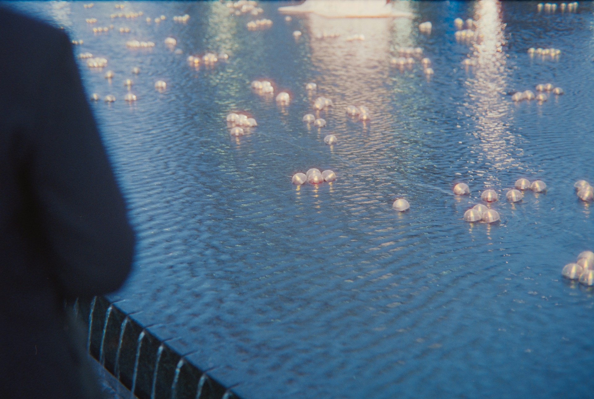 Lichterserenade