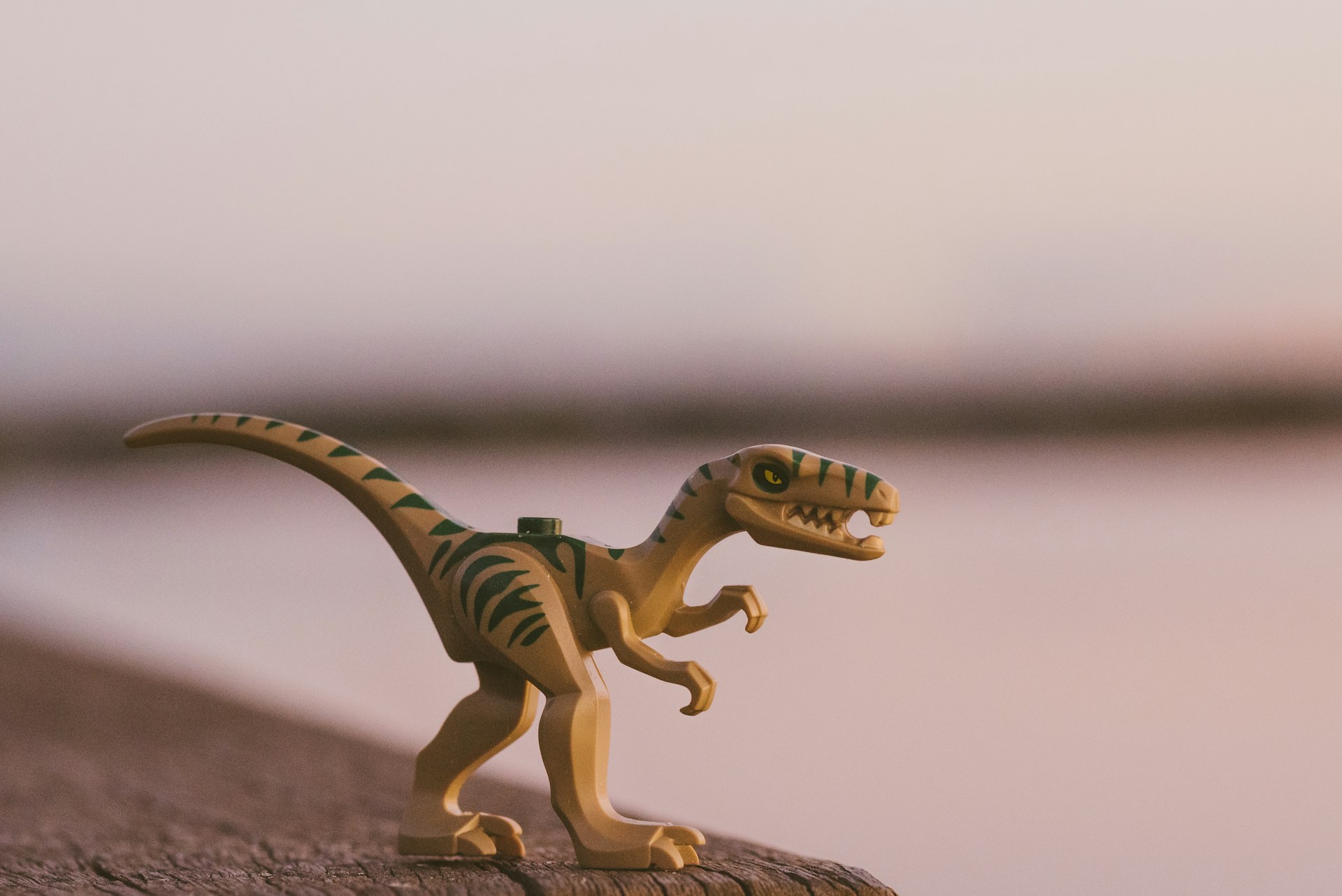 Kurs: Hilfe! Die Dinos kommen!