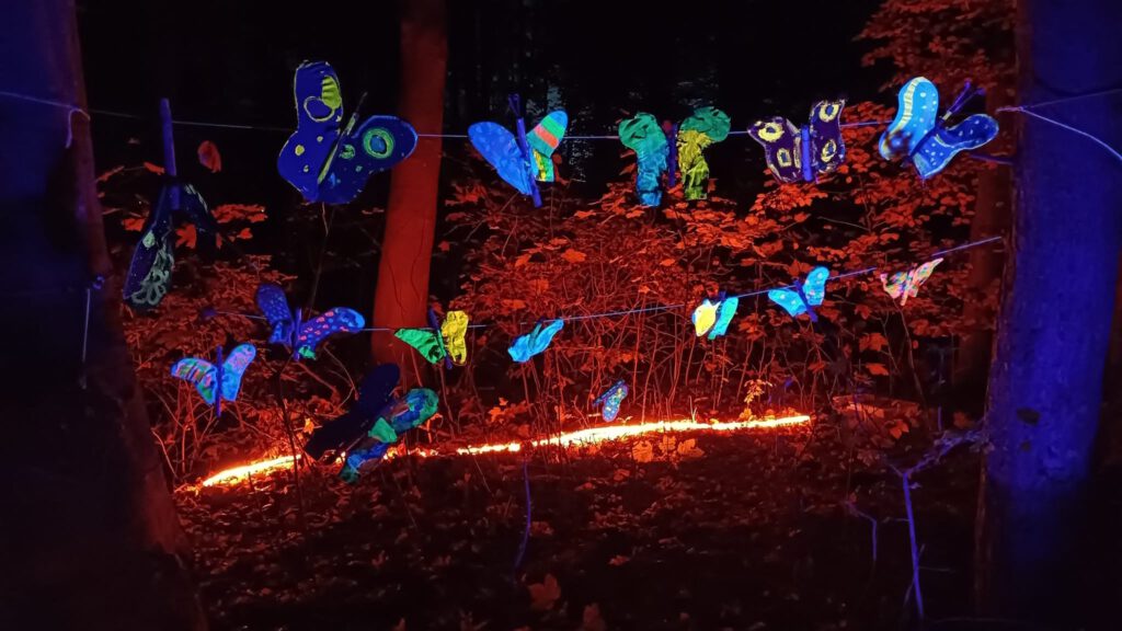 Abendglimmen – Lichtkunst im Wald
