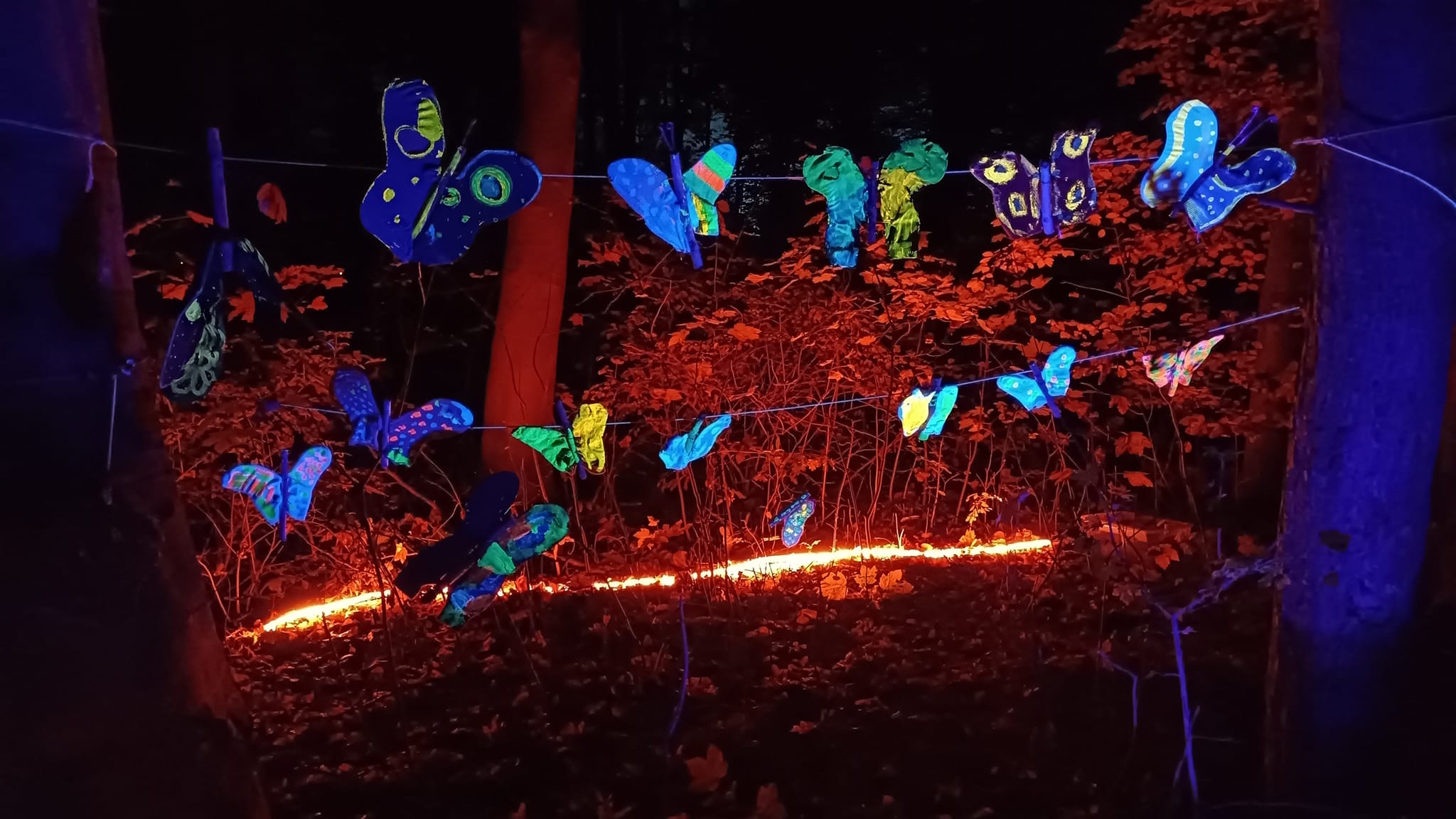 Abendglimmen – Lichtkunst im Wald
